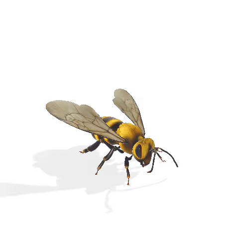 Item #42875674263003894303230877221042224858935249311609840679757817170882746908682 Media