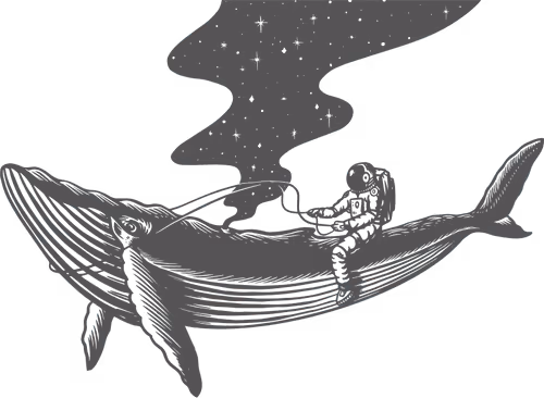 Item #21695043024149666168363712538146728505626378759510554362965567065978887471105 Media