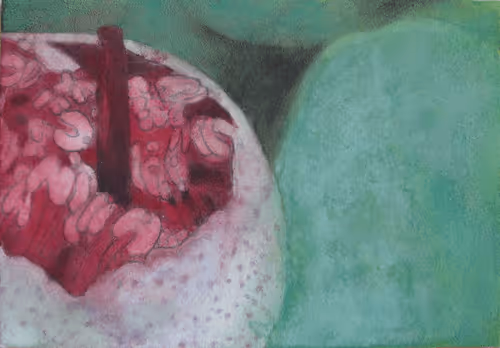 Item #72925079646173943955019179802066495558357068765344184678483369716706971746314 Media