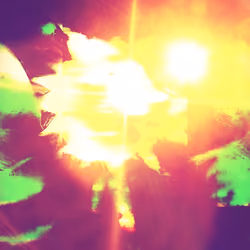 SUNNY VINTAGE DAYS