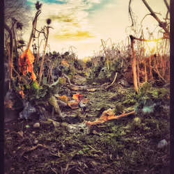 3787080761074609709675817509753112159059746763483256848434353562194454511617