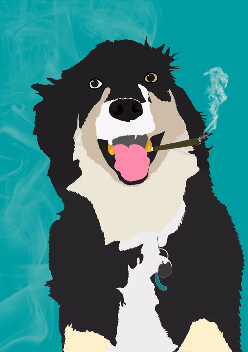 Item #46679994496108624530020148644785155104419172278486625888968680990510233419777 Media