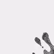 59793940460218962878458905609243942989750222234622827302013756375654918520833