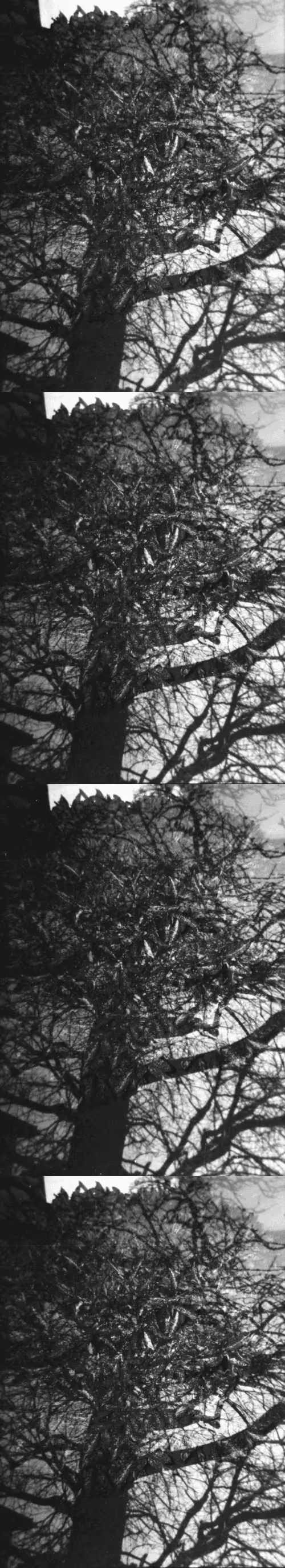 Item #46677297122039031221449977847173365421667821442589389250428357146102015721473 Media