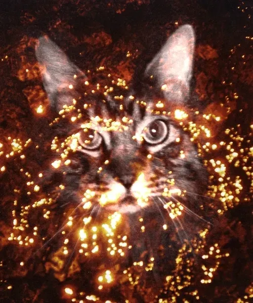 Item #46677297122039031221449977847173365421667821442589389250428357137305922699265 Media