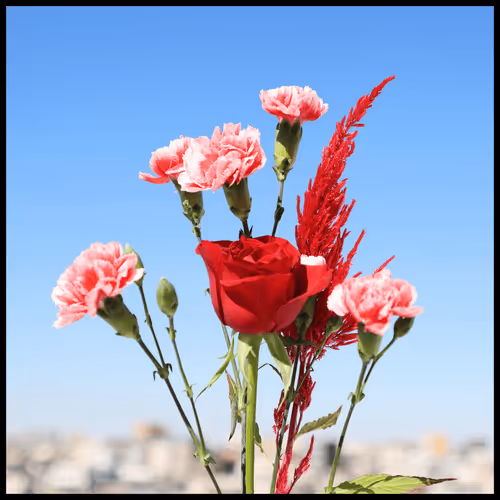 65735283901235411095565859455791530090015704811558660765095343391899991933027