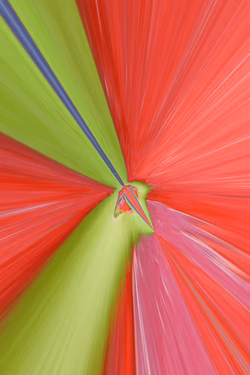 Item #23265726314410109476129301555838572111439838682222879854994044741206444867585 Media