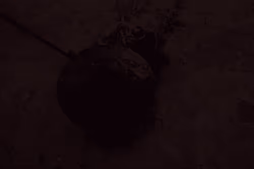 99206175731752603969632246751396839615347692654100145142238794215931689041921