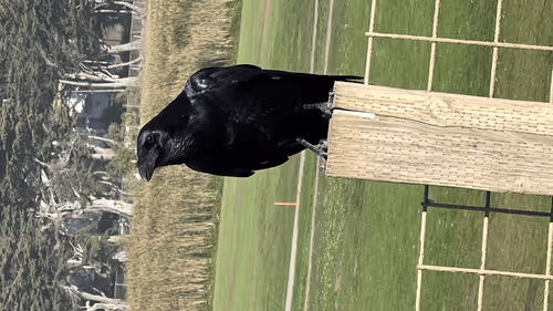 Untitled Collection #88949117