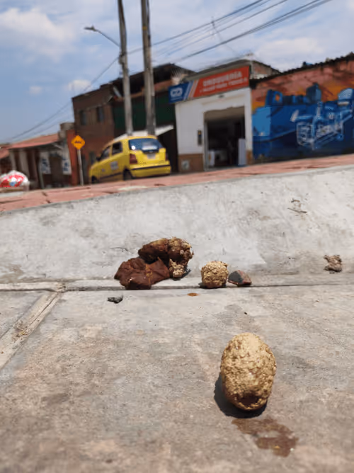 Item #46030170572338065013954339165187362546387663606248340675285172516744098480129 Media