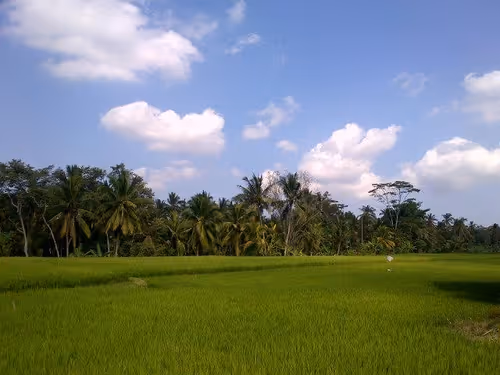 Item #84322506984009659559923408772288194812278509415660143482754304571923608109057 Media