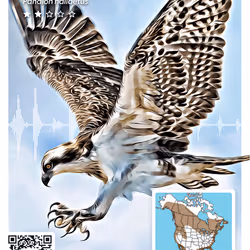 26102390610025884852824728088708208703251930988161684574571712849489185210393