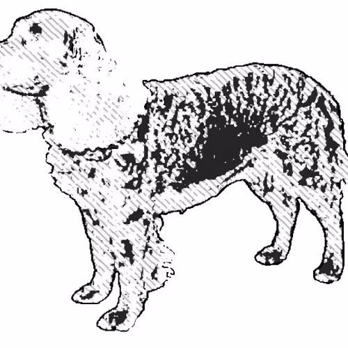 Item #23143313246472061328071561115701105421589606567298838424350448111554173861889 Media