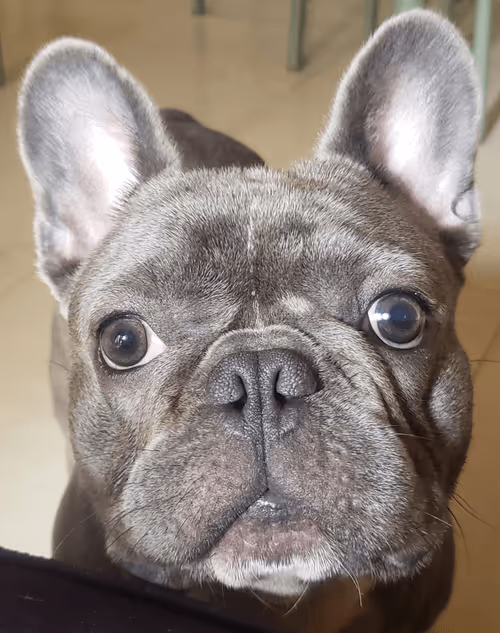 Item #32237202173720727343948986965561335091197107318394763909165930977008864460801 Media