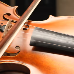 Violin Detail