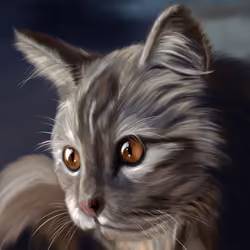 The Grey Kitty