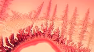 Item #95420953128624320217938367314518664826896982379798893312706769391467041390593 Media