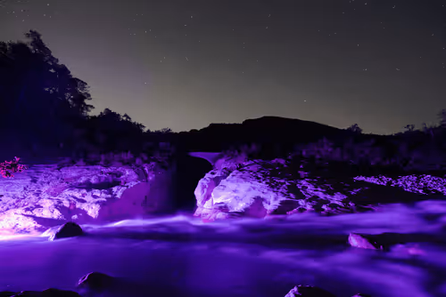 Untitled Collection #92041783