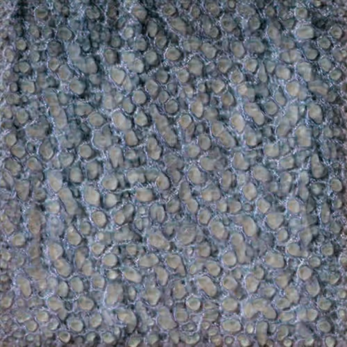 Item #58241160855422744817468407088196322100109565521561100950236906256172645875713 Media