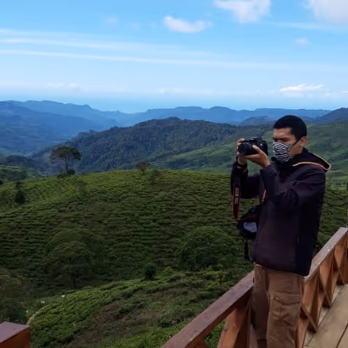 Untitled Collection #201645146