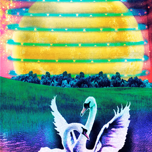 Item #42032510320716374152496093585248523096691795233883150184714753606319026995201 Media