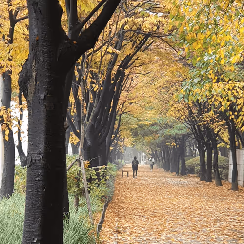 Untitled Collection #139997349