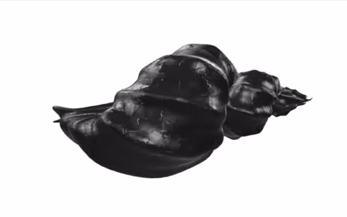 Item #101986064897505636192511017458813156695915810452106734016551982841882549944321 Media