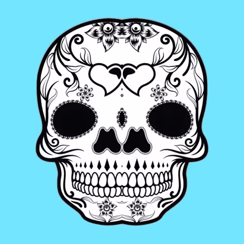 Collection Of Skull