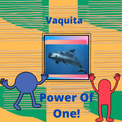 Vaquita  - Protecting Endangered Animals