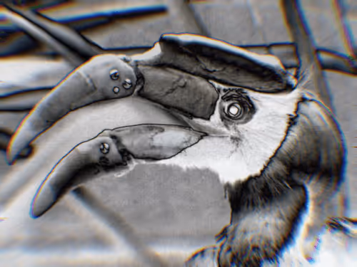 Item #30476162275126956489098327734147978187585883264254375420910265744387148349441 Media