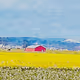 20230408 _ A Red roof