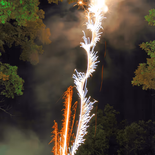 Item #47344123980109973813634142770242239438764360713225161879961012008843739136001 Media