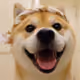 16874303391033492002135922729177252823160609054159505018244768828629264105473