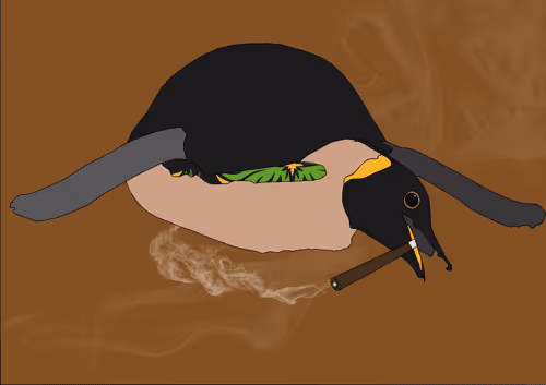 Item #46679994496108624530020148644785155104419172278486625888968680949828303192065 Media