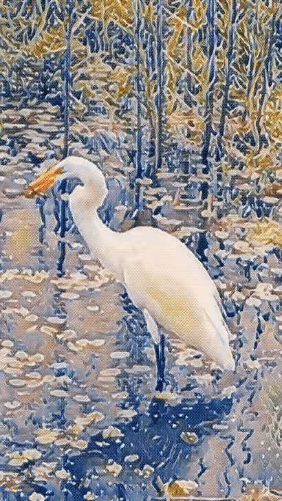 Item #100665082396174141855890121014930740576826293569193813829950182088202734534668 Media