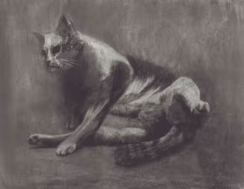 Item #38170623932324647724176819682094726644187779621139951957076771585354673160193 Media