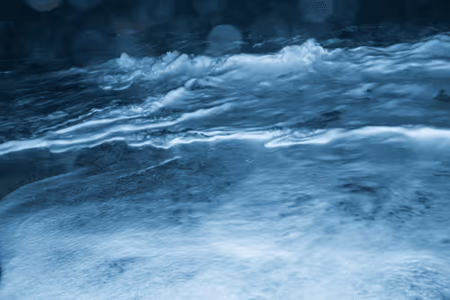 Item #65334289746679534718729475887804441956060191570096093289886828064091284701185 Media