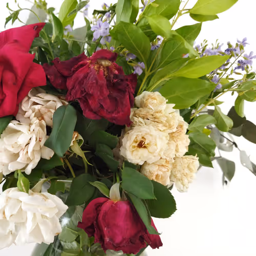 Item #87003207589931118822218281437448867168500866218263883081320957851718545047553 Media