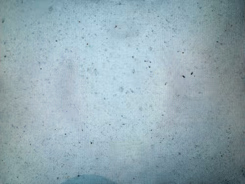 Item #17739185450677169937716918088881032469875764511497450693785463725518261059684 Media