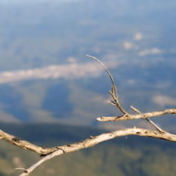 Montseny Mountain