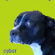 648008096045867044483137489329882592233555462946033952975387861802066903041