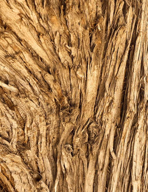 Item #29220917206107681272078931744148542283318655636732824827816198320225125400579 Media