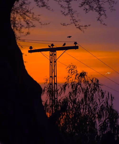 Item #9104047852343460824823657095955061139286762947505329334286274265385426485249 Media