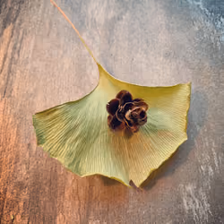 #1 Ginko Leaf & Hemlock Cone