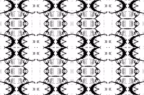 Item #26638498404056078999105226302857758976281968150850417141138925173326420639745 Media