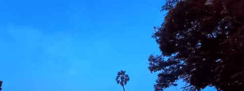 Item #31682110117807978072503887627813773985340927309802680764492894164079580545025 Media