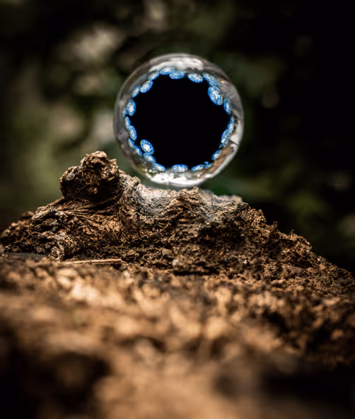 Item #108306877800807607984696183455629240131551285879430987987439970694140224602113 Media