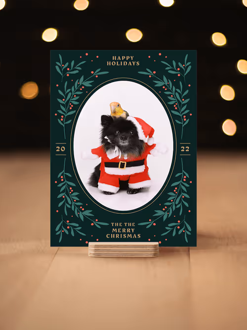 Item #8036610274517614856282005705215780499318604713549687172679363522564204789763 Media