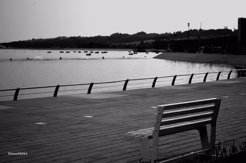 Item #88588118460762935851954819290277197949236789267554687293919040417731419570177 Media