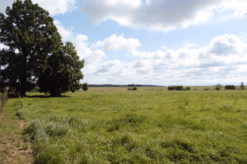 Item #25048395052866519615583306303043483840076282884633851044387431755361990737921 Media